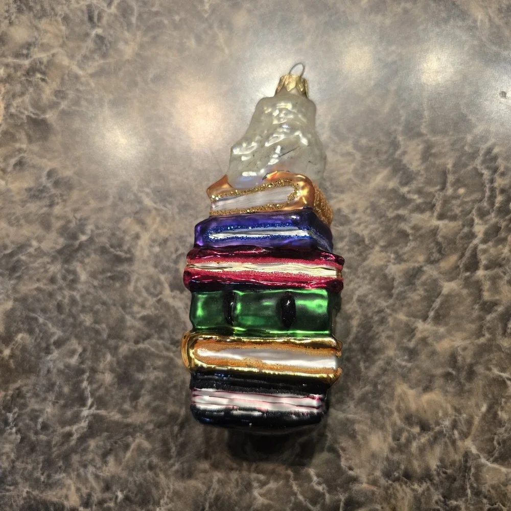Vintage 1997 Christopher Radko HOO DUNNIT Glass‎ Ornament 97-194-0 Owl Books